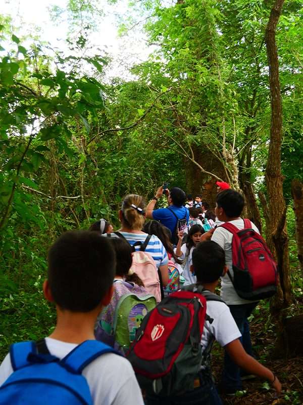 Caminata por los senderos de Finca Frutesol