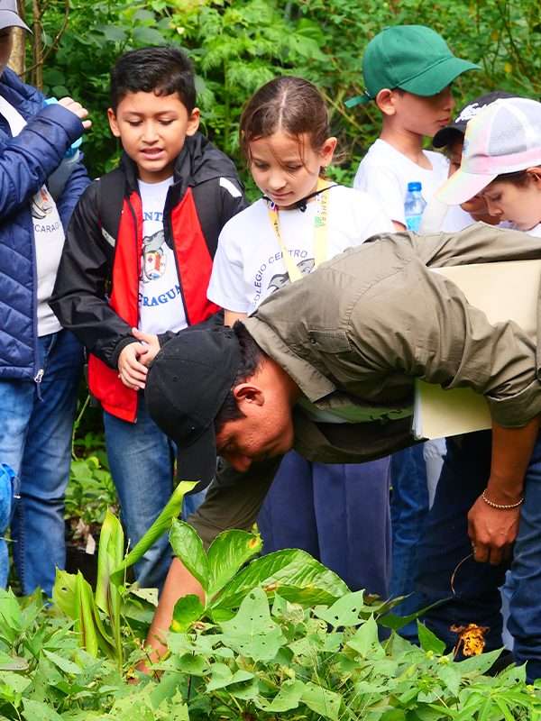 Niños conociendo sobre la composta y el trabajo de los huertos biointensivos de finca Frutesol