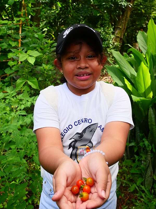 Niños disfrutaron conociendo las variedades de alimentos que se cultivan en finca Frutesol