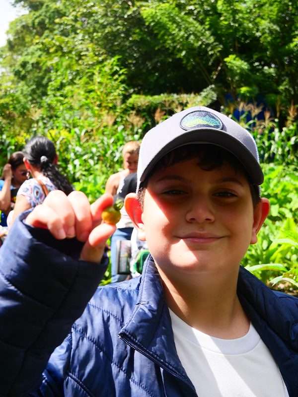 Niños conocieron las variedades de tomate cherry que se cultivan en finca frutesol